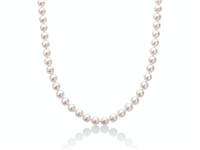 Collana Miluna Donna in Perle PCL6282